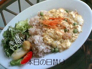050310_1251~01001.JPG