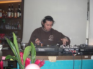 fly-t.jpg